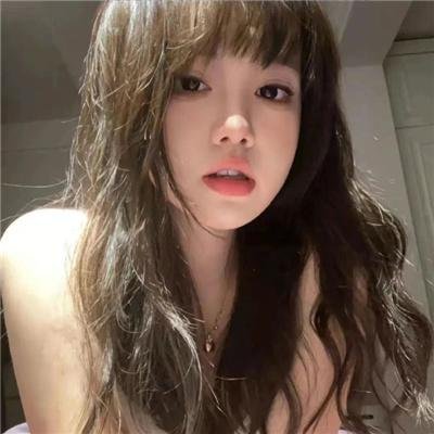 《百日蔷薇》