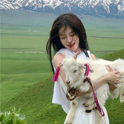 《美声歌鸡》